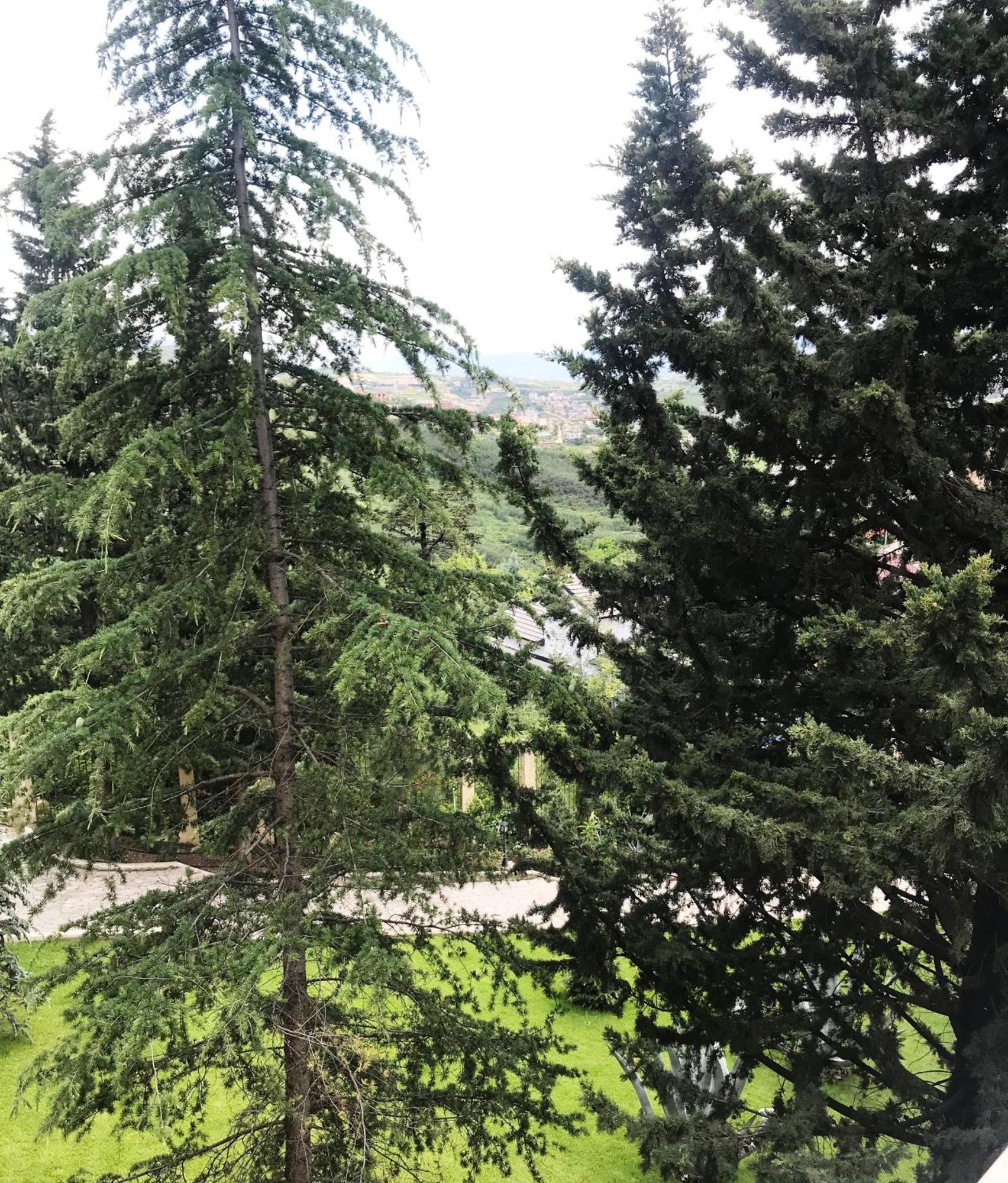 Chateau Linza Resort Тирана Экстерьер фото