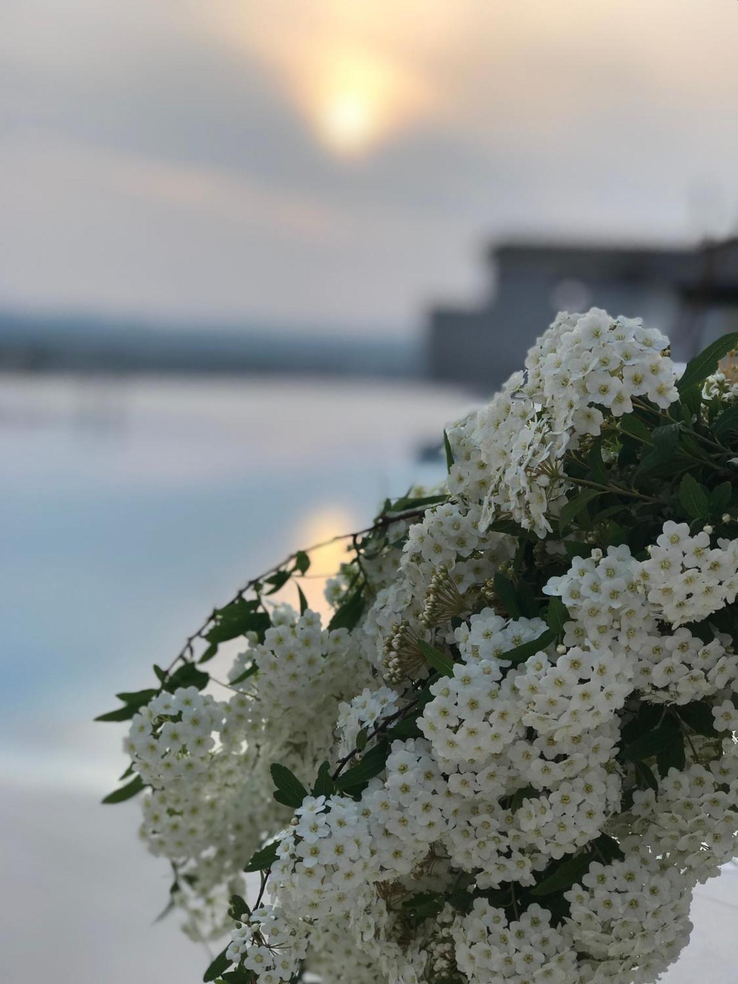 Chateau Linza Resort Тирана Экстерьер фото